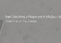 怎么查看vivo手机型号