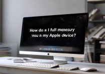 苹果内存显示满了怎么办啊