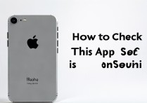 新买的苹果se怎么查看是不是正品