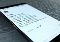 华为手机输入不能显示怎么回事