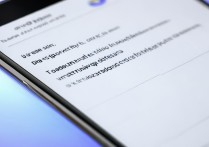 vivo手机怎么设置流量限制