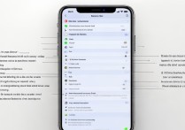 苹果5s浏览器怎么弄？旧机型浏览器设置方法有哪些？