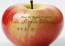 如何判断苹果手机是否被拆修过？