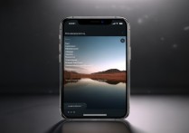 苹果怎么下铃声教程视频