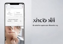 vivox9splus怎么分屏，vivox9splus支持分屏功能吗