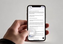 苹果手机桌面变大怎么办？如何调整屏幕显示比例
