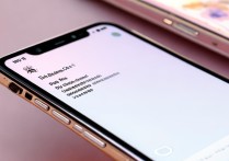 小米Civi4Pro迪士尼版双卡安装攻略