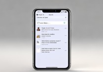 苹果x在设置怎么搜索不到外观