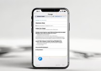 苹果6s日版怎么开热点