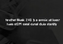 黑鲨4S是5G手机吗？支持双卡双待吗？