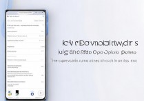 oppo手机怎么下载视频？方法教程全解析