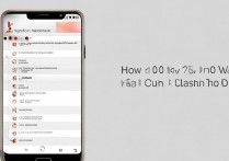 华为手机b199怎么刷机教程？b199刷机步骤详解