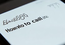 vivoy66怎么打电话是2q