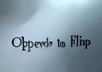 oppo怎么翻转