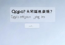oppo手机网页端登录不了？oppo账号网页端登录入口在哪？