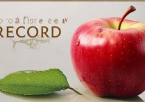 使用记录苹果怎么看？苹果使用记录如何查看及查看方法