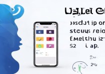 子弹短信新手怎么用？详细使用教程步骤有哪些？