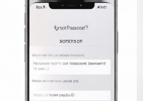 苹果手机访问限制密码忘了怎么找回？