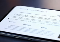 vivo 手机怎样关闭运行程序？