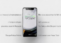 卖oppo手机怎么卖才能快速出手不亏价？