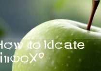 苹果怎么定位vivox9