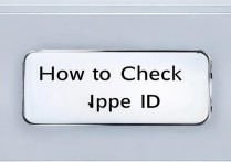 苹果的id怎么查询