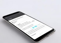 vivoy79忘记密码怎么解锁手机视频