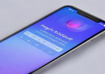 vivo手机锁屏密码忘了怎么解锁？有办法恢复数据吗？