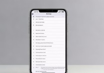 苹果7怎么设置字体