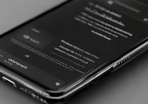 OPPO手机后台应用怎么调?管理内存和进程的详细步骤