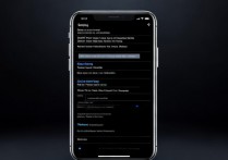 苹果手机无线网DNS怎么设置？详细步骤有哪些？