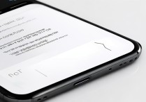 小米联系人苹果手机通讯录不见了怎么办