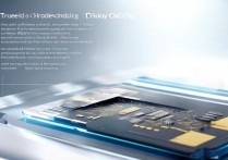 真我GT Neo2的独立显示芯片优势具体有哪些？