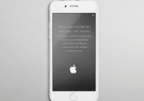 iphone6已越狱白苹果怎么开机哦，白苹果无法开机怎么办