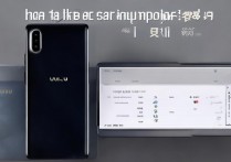 vivox9plus怎么看内存？vivox9plus内存查看方法