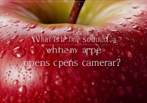 苹果打开摄像头有声音怎么回事啊