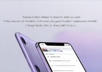 小米13Ultra限量定制色如何开启支付宝免密支付