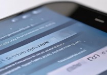 vivo手机按键自定义设置入口在哪？详细步骤是什么？