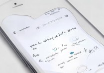 vivoy11it双清怎么操作？详细步骤是什么？