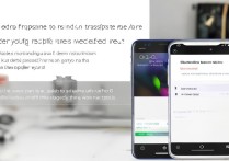 oppo旧手机怎么传到新oppo手机