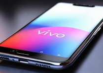 vivo 手机锁定