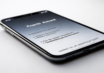 apple id账号