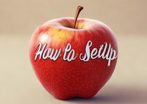 苹果手写怎么设置？苹果手机手写输入法在哪里设置