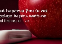 苹果用非原装充电器会损坏电池吗？