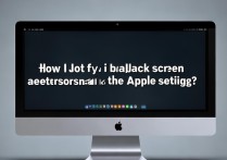 苹果还原设置后黑屏怎么办啊