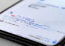 vivo手机粘贴板在哪