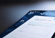 vivo 游览器