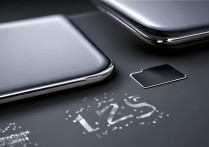 Xiaomi 12S Ultra支持内存卡拓展吗？最大支持多大容量？