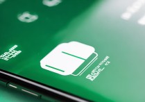 苹果手机电量显示怎么是白色的