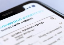 vivoy55怎么加入白名单